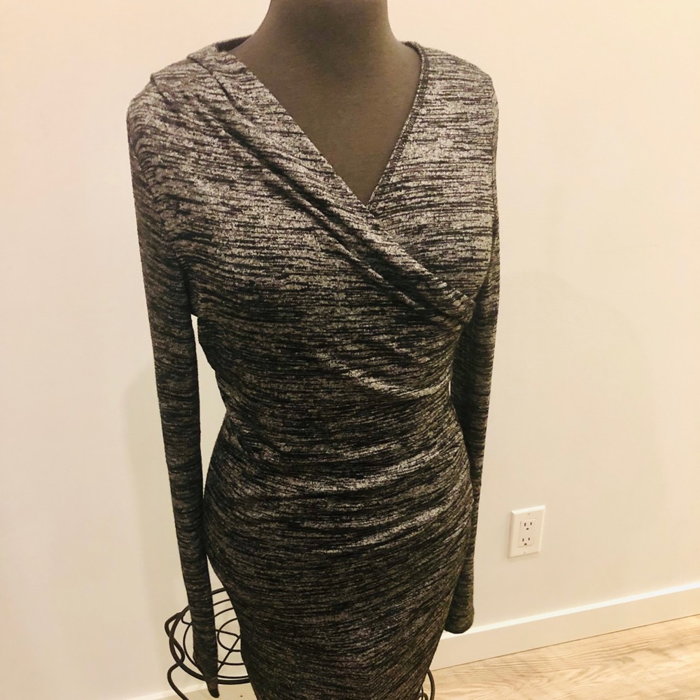 Wilfred Free Dress